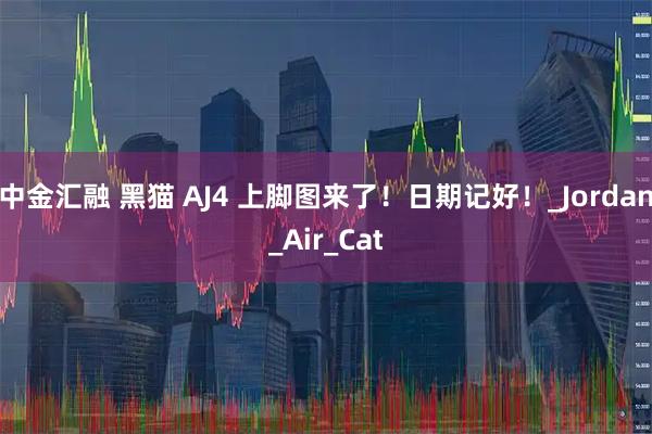 中金汇融 黑猫 AJ4 上脚图来了！日期记好！_Jordan_Air_Cat