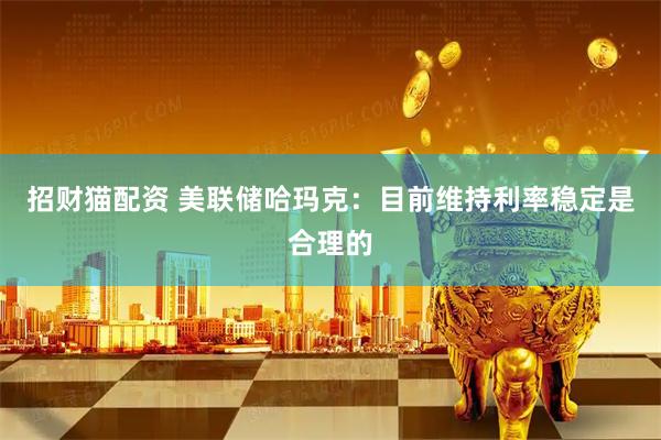 招财猫配资 美联储哈玛克：目前维持利率稳定是合理的