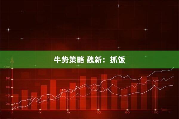 牛势策略 魏新：抓饭